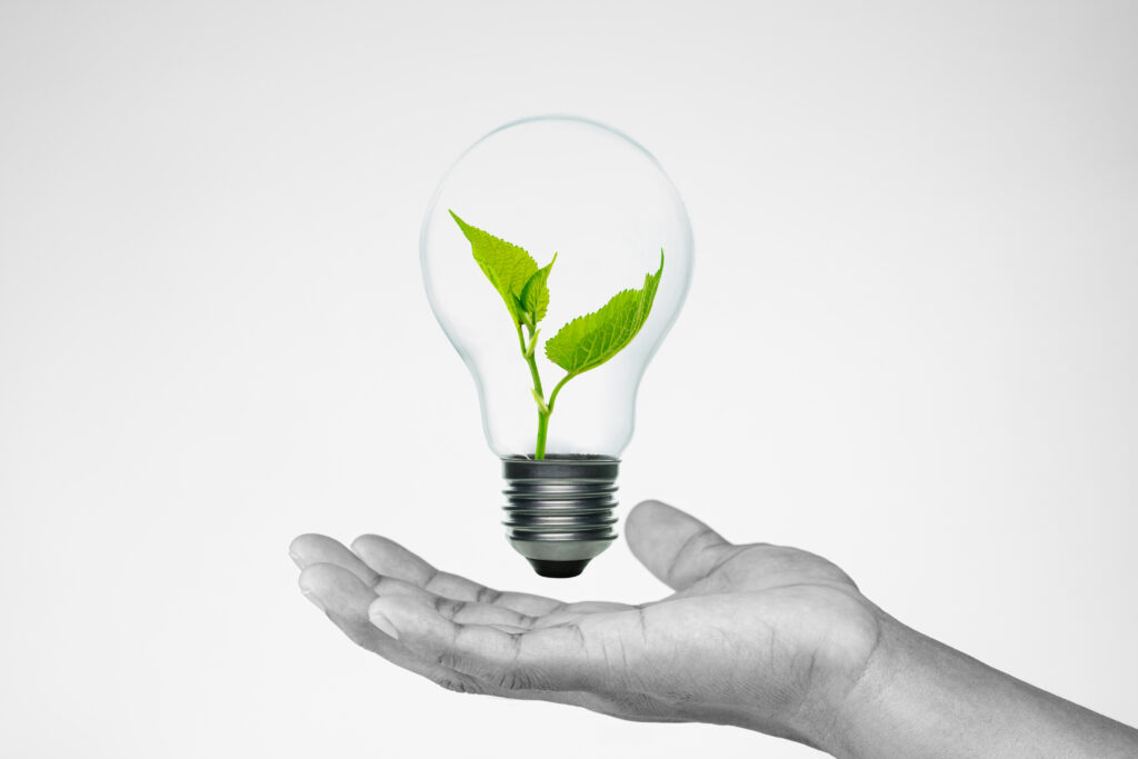 Green energy concept with businessman hand holding Light bulb wi